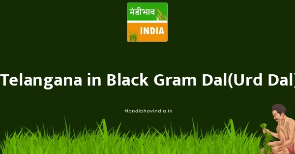 Black Gram Dal(Urd Dal) भाव